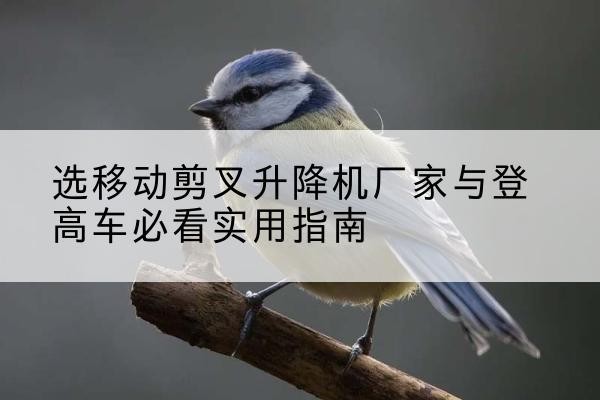萨嘎电动升降机厂家-选移动剪叉升降机厂家与登高车必看实用指南