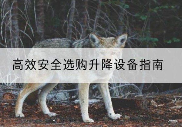 萨嘎升降货梯厂家推荐-*安全选购升降设备指南